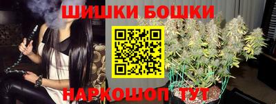 индика Кулебаки