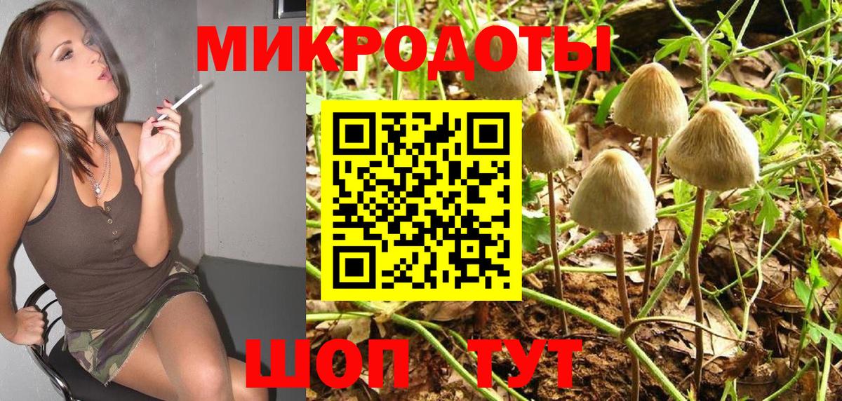 Псилоцибиновые грибы Psilocybine cubensis  Вход с VPN  Псилоцибиновые грибы Magic Shrooms  Губкин 