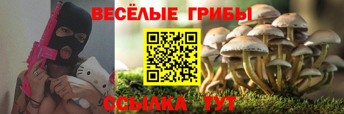 Псилоцибиновые грибы ЛСД Губкин